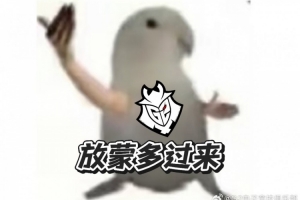 扳平比分后G2官方發(fā)文：有什么話去跟蒙多說去吧