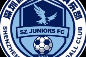 保級生死戰(zhàn)！深圳青年人官方：中甲末輪將開放部分現(xiàn)場觀賽名額