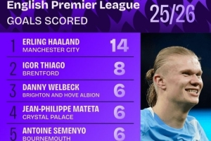 本賽季英超進(jìn)球榜：哈蘭德14球居首，維爾貝克、姆伯莫在列