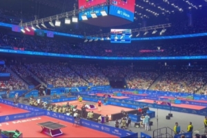 趙子豪曬全場球迷高呼樊振東視頻：祝賀上海隊祝賀胖