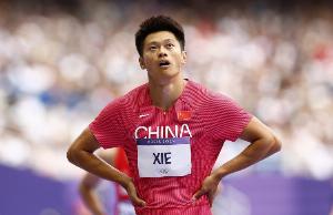 謝震業(yè)：4年太長也許是我最后一屆了，我的堅持可能是我的任性