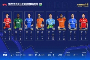 中超官方11月最佳候選：瓦科、吳曦、法比奧、王燊超在列