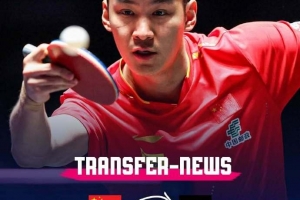 官方：中國球員薛飛加盟德甲巴特柯尼希斯霍芬乒乓球俱樂部
