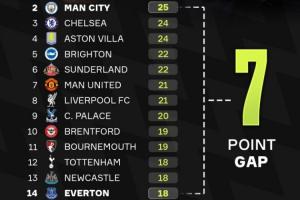 一場天堂一場地獄賽季已過三分之一，英超第2與第14只差7分
