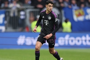 埃貝爾：帕夫洛維奇似乎是肌肉拉傷，希望他問題不大但我沒法診斷